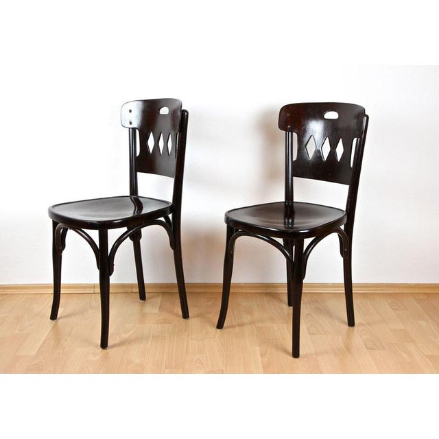 Art Nouveau Bentwood Chairs attributed to Kohn, Vienna, 1910s, Set of 2 For Sale - Image 10 of 14