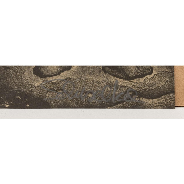 Elfi Schuselka "How Do You Measure Clouds?", 3 For Sale - Image 16 of 18