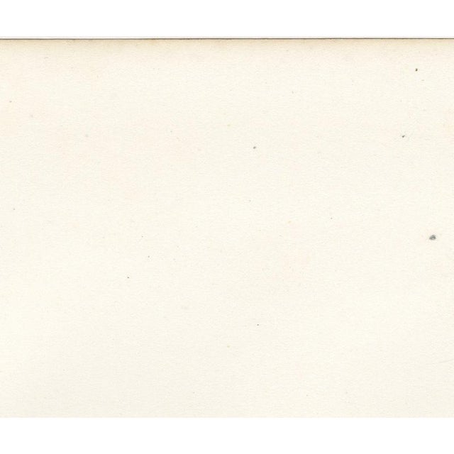 Paper Deroy, Toulouse Veterinary School, Three Views, 1873, Paper For Sale - Image 7 of 12