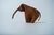 Mid-Century Modern Leather Elephant from Deru, 1960s For Sale - Image 13 of 14