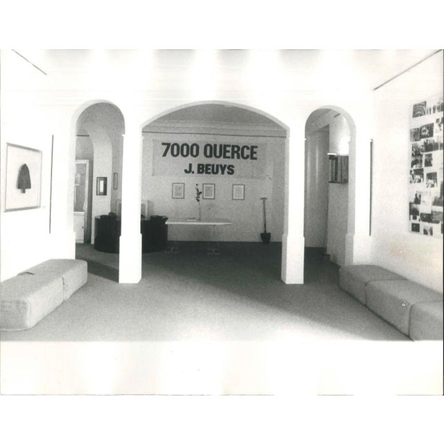 7000 Oak Trees - Original Vintage Photo by Buby Durini - 1984 ca. 1984 ca. For Sale