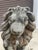 Sculpture Materials Authentic 18th-Century Lion Sculptures - The Plantation Guardians: For Sale - Image 7 of 9