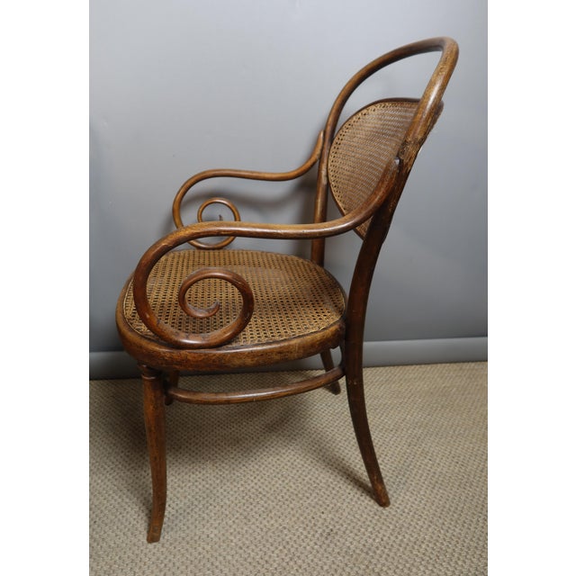 Chairs and Armchairs by Michael Thonet for Thonet, 1890s, Set of 11 For Sale - Image 6 of 10