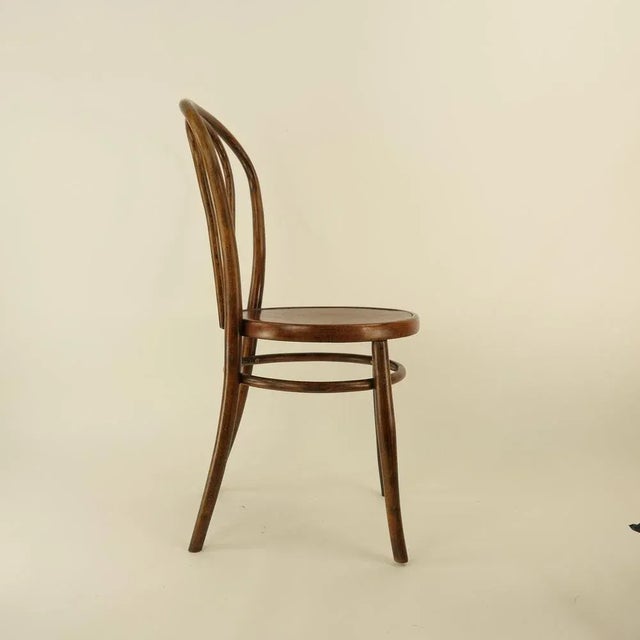 Antique Dining Chair by Jacob & Josef Kohn, Vienna, 1890s For Sale - Image 4 of 12