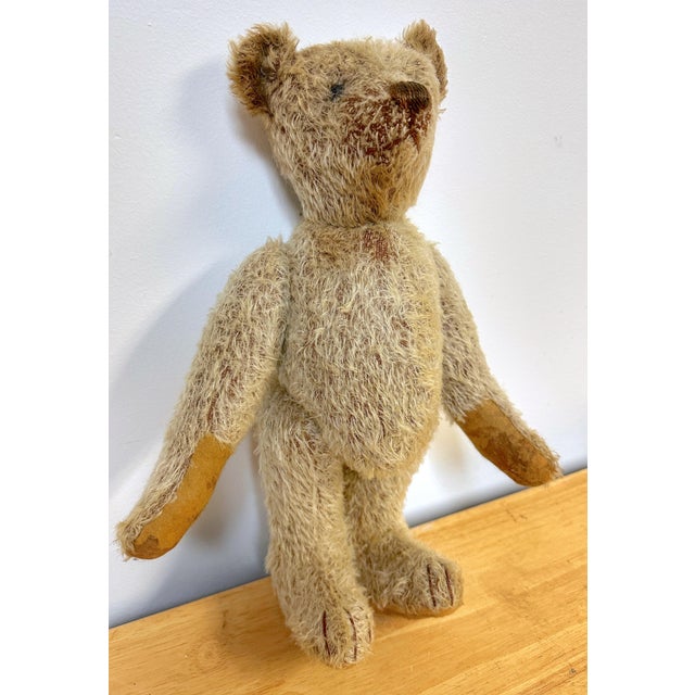 Early 20th Century Antique Steiff Long Hair Gold Mohair Teddy Bear ' Alastair' , C. 1900s For Sale - Image 5 of 6