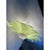 Contemporary Green Murano Glass Flush Mount by Simoeng for Simoeng For Sale - Image 3 of 7