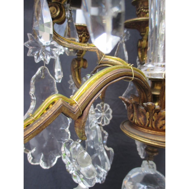 French Gilt Bronze 8 Light Crystal Chandelier Circa 1900 For Sale - Image 17 of 18