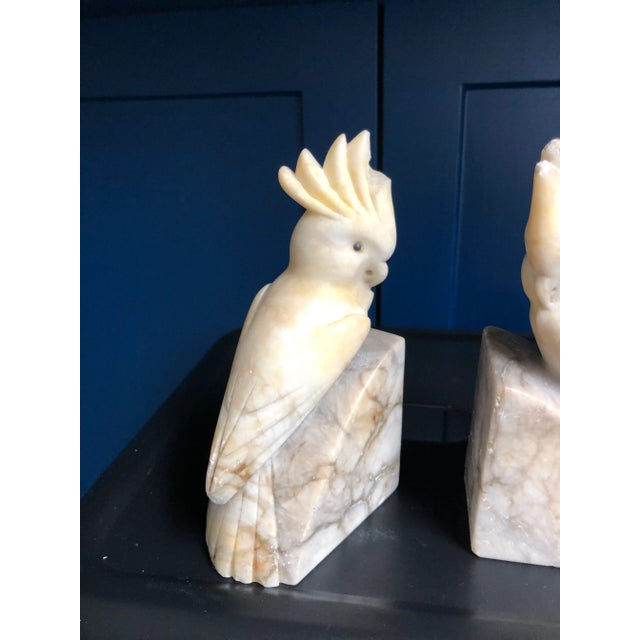1930s Italian Alabaster Carved Cockatoo Bookends-A Pair For Sale - Image 4 of 9