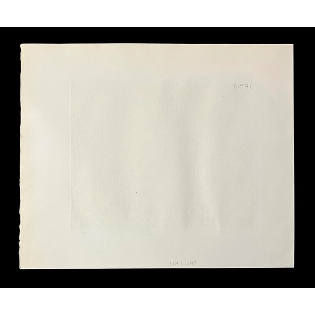 1900 - 1909 Francisco De Goya Unframed Etching Print Murio La Verdad With Coa For Sale - Image 5 of 6