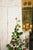 Imagine them flanking a mirror or doorway, their twin brass arms holding candlelight against a rectangular backplate with...