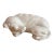 Porcelaine De Paris For Sale