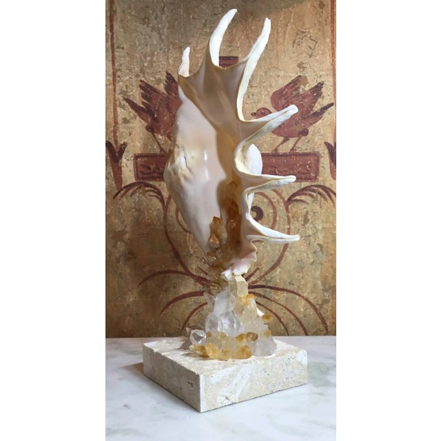 Contemporary One of a Kind Seashell and Crystal Quartz Citrine by Joseph Malekan For Sale - Image 12 of 13