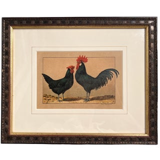 Early 1900s Kramer Poultry Chromolithograph, Framed For Sale