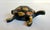 Metal Vintage Mid-Century Mixed-Metal Turtle Hinged Ashtray For Sale - Image 7 of 9
