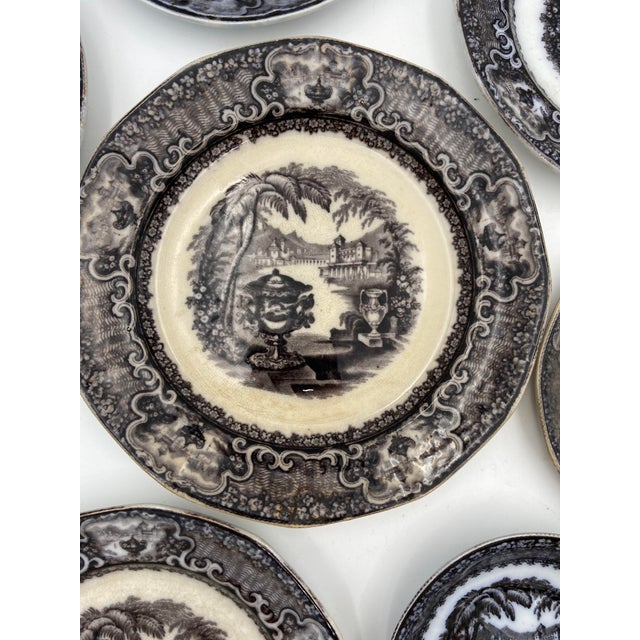 Antique P. W. & Co. Black Mulberry Ware Plates, “Washington’s Vase” - Set of 8 For Sale In Savannah - Image 6 of 13