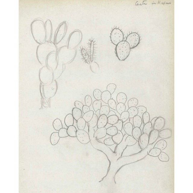 Grace Spongberg (American, 1906-1992) "Cacti in Mexico" drawing on paper, estate stamp on reverse. Grace Spongberg grew up...