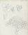 Grace Spongberg (American, 1906-1992) "Cacti in Mexico" drawing on paper, estate stamp on reverse. Grace Spongberg grew up...