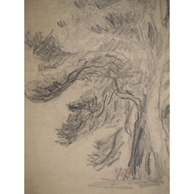 Maximilien Luce, Trees on the Edge of the Forest, Original Drawing For Sale - Image 4 of 6
