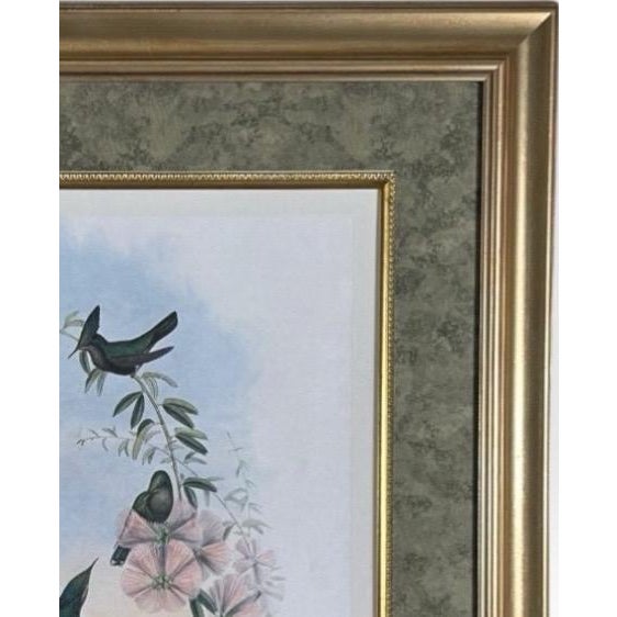 Antique Nineteenth Century John Gould Hummingbird Framed Fine Art Hand Colored Lithograph For Sale In Portland, ME - Image 6 of 13