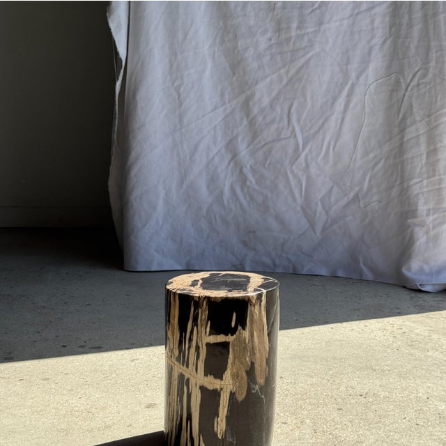 Stone Small Side Table in Petrified Wood, Black Heartwood, Bark with Black and Beige Streaks, 1980s For Sale - Image 7 of 18