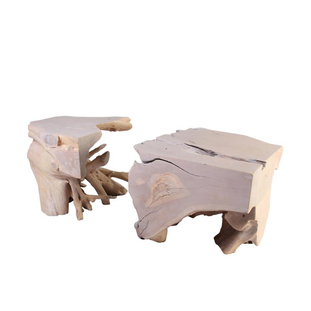 Contemporary Organic Modern Sculptured Teak Root Coffee Table Base - 2 Pieces For Sale - Image 3 of 7