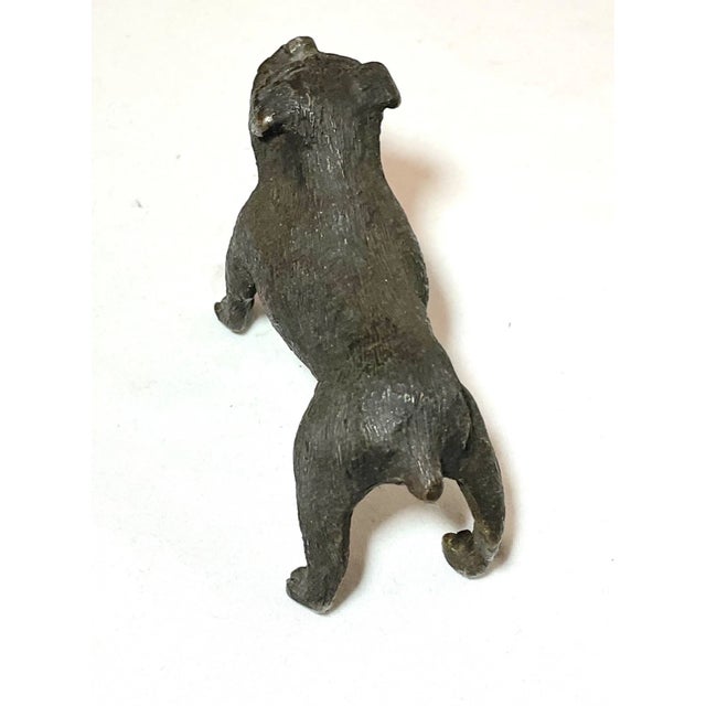 Antique Austrian Miniature Bronze Dog Bulldog Statue Figure Sculture Realistic For Sale - Image 4 of 12