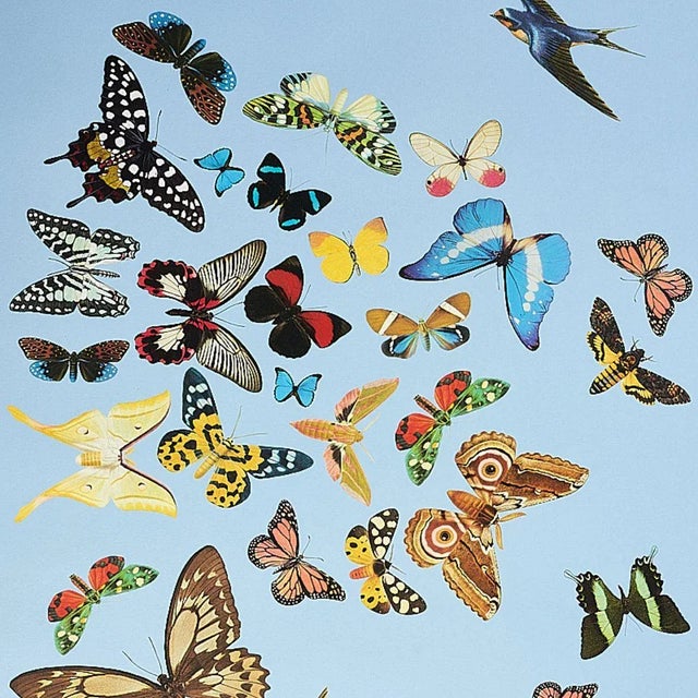 Art Deco Sample - Schumacher X Peg Norris Queen's Flight Panel Set Wallpaper in Sky For Sale - Image 3 of 4