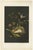 Audsleys the Ornamental Arts of Japan, 1884, Lithograph For Sale
