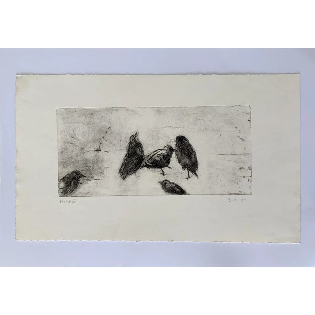 Anna Mikke, Birds, Etching on Paper, 2009 For Sale - Image 6 of 9
