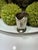 1960s International Silver Fred Harvey Sterling Creamer For Sale - Image 5 of 6