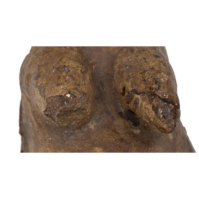 Early 20th Century Makonde Njorowe Pregnant Belly Mask with Face Tanzania For Sale In Denver - Image 6 of 6