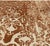 Contemporary Abstract Luria Hand Knotted Wool Rug by Doris Leslie Blau For Sale - Image 4 of 6