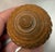 19th Century Victorian Hand Made Wood Spice/ Nutmeg Grater For Sale - Image 4 of 14