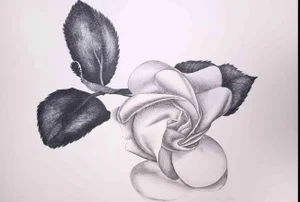 Giacomo Porzano, Black Rose, Original Etching, 1970s