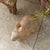 Ceramic Weathered Garden Rabbit Large For Sale - Image 7 of 7