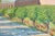 Pair of Antique French Oil Paintings on Board — Signed Sansky, Monastère De Cimiez, Nice, Circa Early 20th Century For Sale - Image 10 of 13