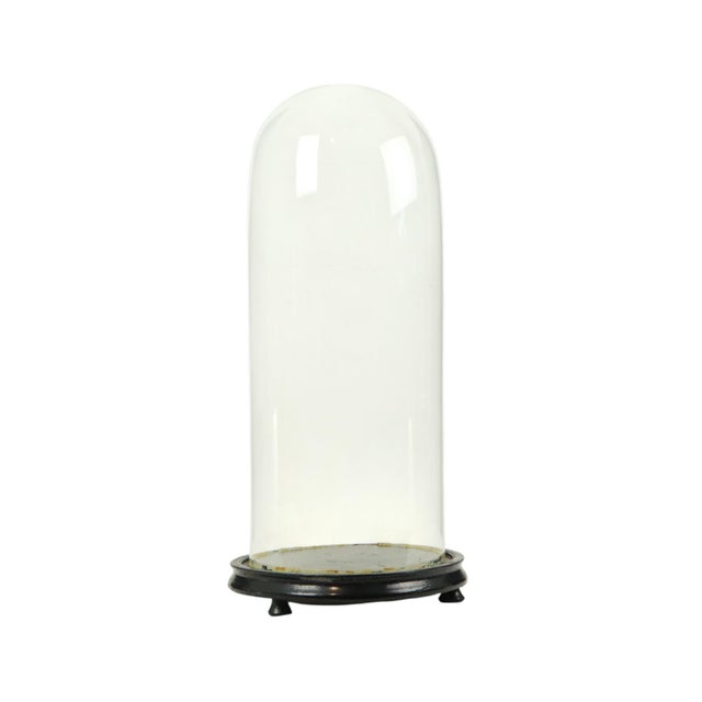 Large Antique Mouth-Blown Glass Dome, 1890s For Sale - Image 9 of 14