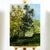 Enhance your space with this one-of-a-kind acrylic artwork, featuring vibrant trees under a serene blue sky with a lovely...