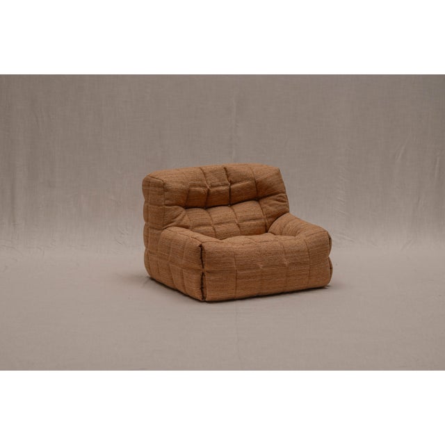 Kashima Easy Chair by Michel Ducaroy for Ligne Roset, 1970s For Sale - Image 11 of 15