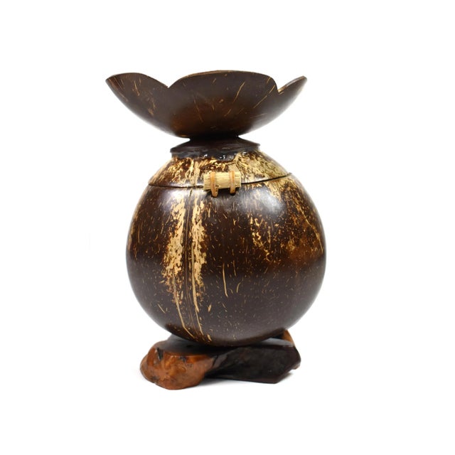 Vintage Handmade Natural Coconut Shell Lidded Box Display on Wooden Base For Sale - Image 6 of 13