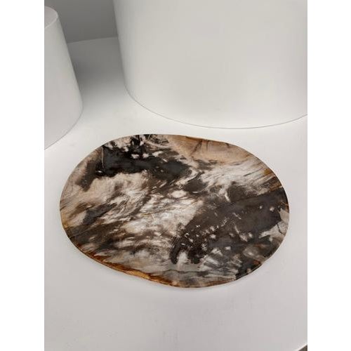 Very Large Vide-Poche or Dish in Petrified Wood For Sale - Image 4 of 18