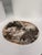 Very Large Vide-Poche or Dish in Petrified Wood For Sale - Image 4 of 18
