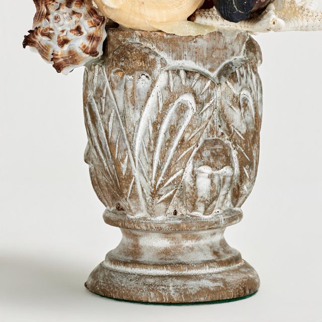 Pair of Seashell Sculptures on Wood Bases For Sale - Image 13 of 13