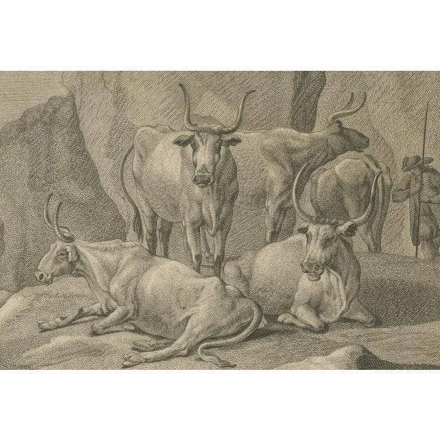Johann Jakob Kleinschmidt, Pastoral Scene, 18th Century, Engraving For Sale - Image 5 of 6