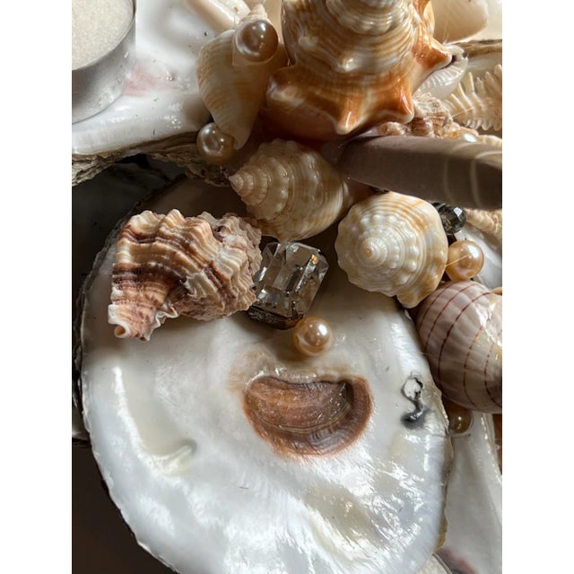 Oyster Shell and Salt Water Shell Centerpiece Table Decor For Sale - Image 12 of 13