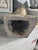 Large Plaster Neoclassical Bust of Pericles For Sale In Miami - Image 6 of 6