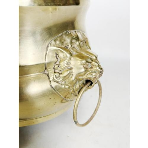Champagne Cooler Plant Stand in Brass, France, 1950 For Sale - Image 6 of 13