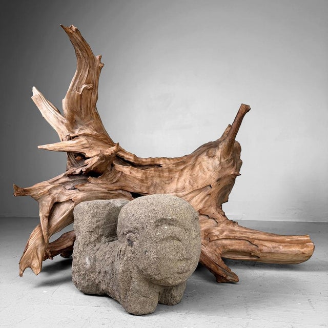 Japanese Koboku Root Wood Sculpture, 1960s For Sale - Image 4 of 13