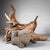 Japanese Koboku Root Wood Sculpture, 1960s For Sale - Image 4 of 13