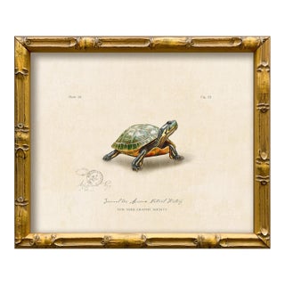 Reproduction Vintage "Garden Friends" Art Print (12), Turtle For Sale